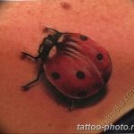 фото идея тату божья коровка 22.12.2018 №091 - photo ladybug tattool- tattoo-photo.ru