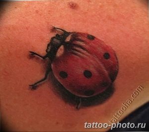 фото идея тату божья коровка 22.12.2018 №091 - photo ladybug tattool- tattoo-photo.ru