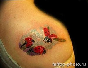 фото идея тату божья коровка 22.12.2018 №094 - photo ladybug tattool- tattoo-photo.ru
