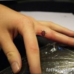 фото идея тату божья коровка 22.12.2018 №097 - photo ladybug tattool- tattoo-photo.ru