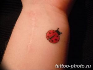 фото идея тату божья коровка 22.12.2018 №098 - photo ladybug tattool- tattoo-photo.ru