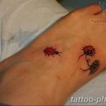 фото идея тату божья коровка 22.12.2018 №099 - photo ladybug tattool- tattoo-photo.ru