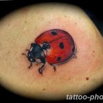 фото идея тату божья коровка 22.12.2018 №100 - photo ladybug tattool- tattoo-photo.ru