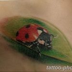 фото идея тату божья коровка 22.12.2018 №101 - photo ladybug tattool- tattoo-photo.ru