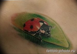 фото идея тату божья коровка 22.12.2018 №101 - photo ladybug tattool- tattoo-photo.ru