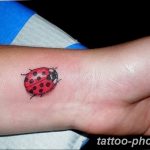 фото идея тату божья коровка 22.12.2018 №106 - photo ladybug tattool- tattoo-photo.ru