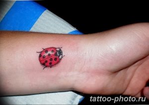 фото идея тату божья коровка 22.12.2018 №106 - photo ladybug tattool- tattoo-photo.ru