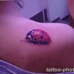 фото идея тату божья коровка 22.12.2018 №107 - photo ladybug tattool- tattoo-photo.ru