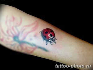 фото идея тату божья коровка 22.12.2018 №109 - photo ladybug tattool- tattoo-photo.ru