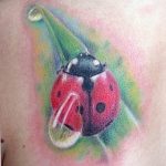 фото идея тату божья коровка 22.12.2018 №115 - photo ladybug tattool- tattoo-photo.ru