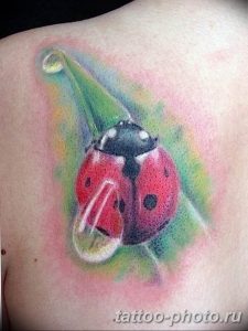 фото идея тату божья коровка 22.12.2018 №115 - photo ladybug tattool- tattoo-photo.ru