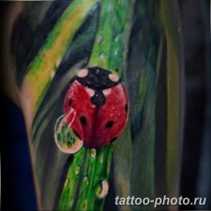фото идея тату божья коровка 22.12.2018 №117 - photo ladybug tattool- tattoo-photo.ru