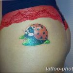 фото идея тату божья коровка 22.12.2018 №118 - photo ladybug tattool- tattoo-photo.ru