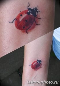 фото идея тату божья коровка 22.12.2018 №119 - photo ladybug tattool- tattoo-photo.ru