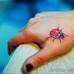 фото идея тату божья коровка 22.12.2018 №121 - photo ladybug tattool- tattoo-photo.ru