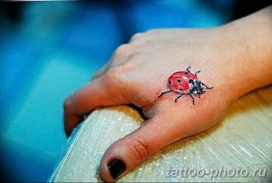 фото идея тату божья коровка 22.12.2018 №121 - photo ladybug tattool- tattoo-photo.ru