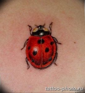 фото идея тату божья коровка 22.12.2018 №122 - photo ladybug tattool- tattoo-photo.ru