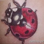 фото идея тату божья коровка 22.12.2018 №123 - photo ladybug tattool- tattoo-photo.ru