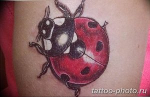 фото идея тату божья коровка 22.12.2018 №123 - photo ladybug tattool- tattoo-photo.ru