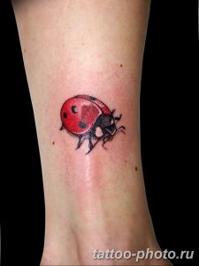 фото идея тату божья коровка 22.12.2018 №128 - photo ladybug tattool- tattoo-photo.ru