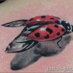 фото идея тату божья коровка 22.12.2018 №129 - photo ladybug tattool- tattoo-photo.ru