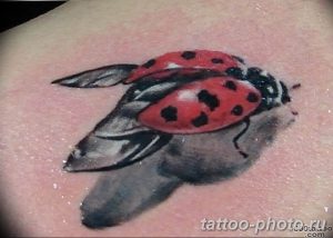 фото идея тату божья коровка 22.12.2018 №129 - photo ladybug tattool- tattoo-photo.ru