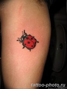 фото идея тату божья коровка 22.12.2018 №130 - photo ladybug tattool- tattoo-photo.ru