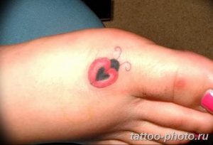 фото идея тату божья коровка 22.12.2018 №131 - photo ladybug tattool- tattoo-photo.ru