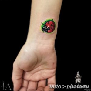 фото идея тату божья коровка 22.12.2018 №136 - photo ladybug tattool- tattoo-photo.ru