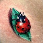 фото идея тату божья коровка 22.12.2018 №139 - photo ladybug tattool- tattoo-photo.ru