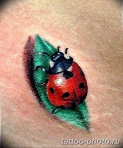 фото идея тату божья коровка 22.12.2018 №139 - photo ladybug tattool- tattoo-photo.ru