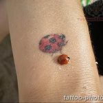 фото идея тату божья коровка 22.12.2018 №140 - photo ladybug tattool- tattoo-photo.ru