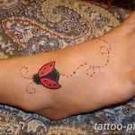 фото идея тату божья коровка 22.12.2018 №141 - photo ladybug tattool- tattoo-photo.ru