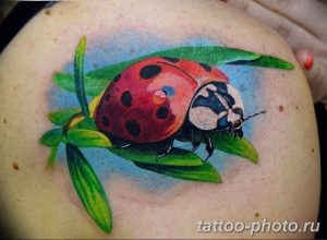 фото идея тату божья коровка 22.12.2018 №142 - photo ladybug tattool- tattoo-photo.ru