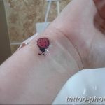 фото идея тату божья коровка 22.12.2018 №143 - photo ladybug tattool- tattoo-photo.ru