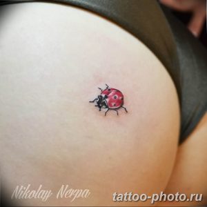 фото идея тату божья коровка 22.12.2018 №144 - photo ladybug tattool- tattoo-photo.ru