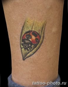 фото идея тату божья коровка 22.12.2018 №145 - photo ladybug tattool- tattoo-photo.ru