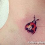 фото идея тату божья коровка 22.12.2018 №146 - photo ladybug tattool- tattoo-photo.ru