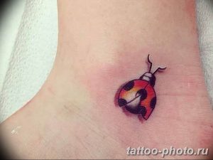 фото идея тату божья коровка 22.12.2018 №146 - photo ladybug tattool- tattoo-photo.ru