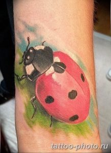 фото идея тату божья коровка 22.12.2018 №147 - photo ladybug tattool- tattoo-photo.ru