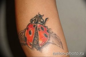 фото идея тату божья коровка 22.12.2018 №151 - photo ladybug tattool- tattoo-photo.ru