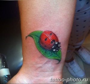 фото идея тату божья коровка 22.12.2018 №154 - photo ladybug tattool- tattoo-photo.ru