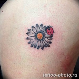 фото идея тату божья коровка 22.12.2018 №156 - photo ladybug tattool- tattoo-photo.ru