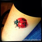 фото идея тату божья коровка 22.12.2018 №157 - photo ladybug tattool- tattoo-photo.ru