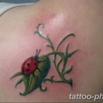 фото идея тату божья коровка 22.12.2018 №161 - photo ladybug tattool- tattoo-photo.ru