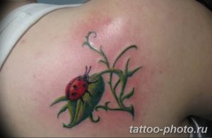 фото идея тату божья коровка 22.12.2018 №161 - photo ladybug tattool- tattoo-photo.ru