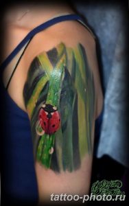 фото идея тату божья коровка 22.12.2018 №165 - photo ladybug tattool- tattoo-photo.ru