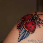 фото идея тату божья коровка 22.12.2018 №175 - photo ladybug tattool- tattoo-photo.ru