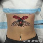 фото идея тату божья коровка 22.12.2018 №177 - photo ladybug tattool- tattoo-photo.ru