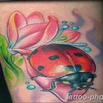 фото идея тату божья коровка 22.12.2018 №180 - photo ladybug tattool- tattoo-photo.ru